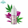 Concentré Concentré Gelato Greeneo 10 ml