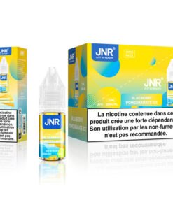 E-liquide Blueberry Pomegranate Ice JNR sel de nicotine 10 ml