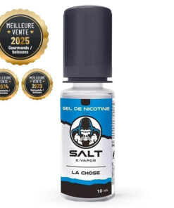 E-liquide E Vapor Le French Liquide sel de nicotine 10 ml