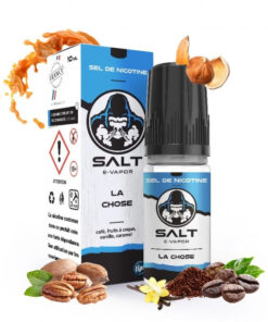E-liquide E Vapor Le French Liquide sel de nicotine 10 ml