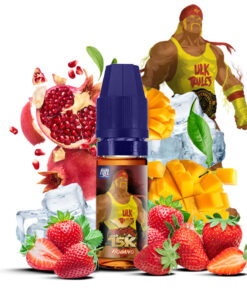 E-liquide Hogano Maison Fuel sel de nicotine 10 ml