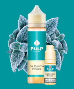 E-liquide Menthe Polaire Pulp 60 ml