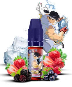 E-liquide Seiryuto Maison Fuel sel de nicotine 10 ml