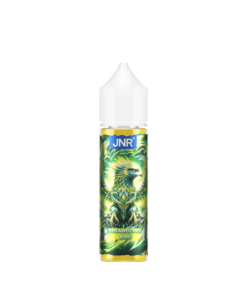 E-liquide Strawberry Kiwi JNR 50 ml