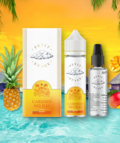 E-liquide Pineapple Lemon Best Life 70 ml